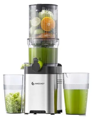Image de Extracteur de jus lent CE-ZM1902M-SV (argent)