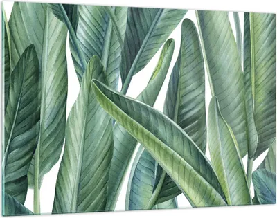 Produktbild von Bilder auf glas - Einteilig - Exotisch Blätter Grün - 120x80cm - Glasbilder - Wandbilder - Bilder - zum Aufhängen bereit - Wanddekoration aus Glas - Glas Bilder - Wandbild auf Glas - GAA120x80-4258