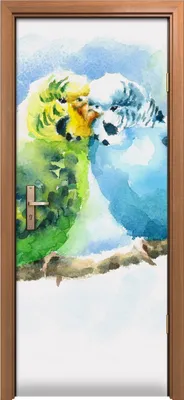 Produktbild von Türposter 80x200 cm Türaufkleber Türtapete Türfolie Klebefolie Aquarell Haustiervögel Wellensittiche