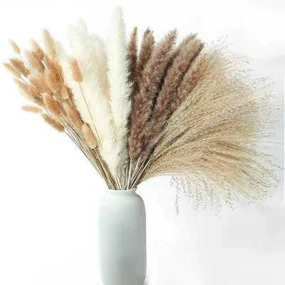 Immagine prodotto di Fiori decorativi beige/bianchi - 100 pezzi - Realistici - Senza vasi - Fiori secchi