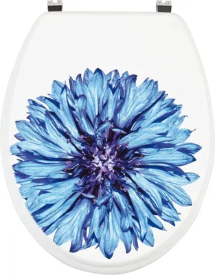 A toilet seat with a blue flower design.