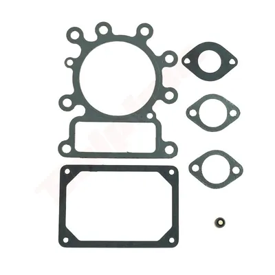 Image de Joints Pour B&S 6 ( 495992 )