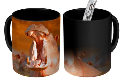 Obrázok produktu pre MuchoWow® Magický pohár Hrochy - voda 350 ml Pohár na zmenu farby Darček Nápad na darček - Foto hrnček