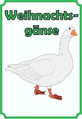 Produktbild von Weihnachtsgans Verkaufsschild Schild Hochkant A2 (420x594mm)