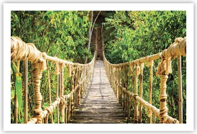 Produktbild von Poster - Poster ohne Rahmen - Brücke Seil Dschungel - 91,5x61 cm - Wand Bild - Wanddeko - Wandbilder - Kunstposter - Wandposter - Bilder - Kunstdruck - Wanddekoration - Wandbild - P2XAA91x61-4319