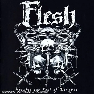 Produktbild von Flesh - Worship the Soul of Disgust CD