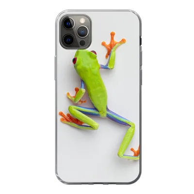 Produktbild von MuchoWow® Handyhülle Schutzhülle Hülle für iPhone 13 Pro Max Frosch - Tiere - Grün Silikon Softcase Handy Hülle - Mobiltelefon