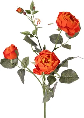 Produktbild von artplants.de Rosen Kunstzweig DIAMANTIS, orange, 75cm - Kunstrosen