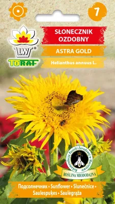 Obrázok produktu pre Okrasná slnečnica ASTRA GOLD Kvetinové semená - 637 Toraf