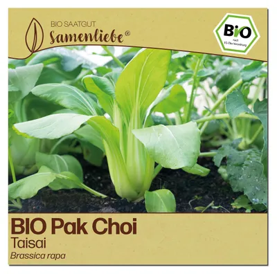 Produktbild von Samenliebe  Pak Choi Samen | Taisai - samenfestes  Saatgut