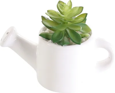 Produktbild von Sukkulente in Kanne 14x10cm Grün Weiß Kunstpflanze Keramik Gießkanne Deko