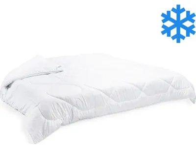 Image de Couverture thermique 240x200cm hiver 2880g (600g/m2)