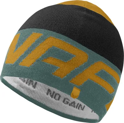 Produktbild von Dynafit Radical Beanie Mütze atlantic