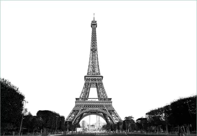 Produktbild von Wallario Fototapete Vliestapete, seidenmatte Oberfläche, einfache Verarbeitung, Größe 300 x 210 cm, Motiv Eiffelturm in Paris - schwarz weiß