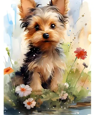 Productafbeelding van Diamantverfset, dieren, honden, 5D schilderij voor volwassenen en kinderen, 30x40 cm
