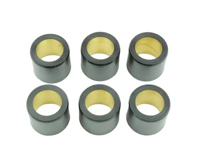 Obrázek produktu pro ATHENA Sada válečků variátoru 25x22,2mm 28gr - 6 kusů