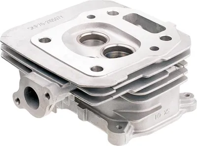 Zdjęcie produktu dla Głowica Cedrus Y196V 480499