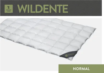 Produktbild von Spessarttraum Daunendecke Wildente Füllung: 100% Daunen Bezug: 100% Baumwolle Größe 200x200cm Wärmeklasse normal