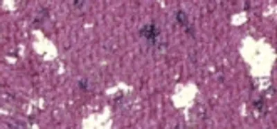 Obrázok produktu pre Pupa Vamp! Očné tiene 101 Purple Crash Gems