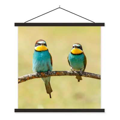 Produktbild von MuchoWow® Textilposter Vögel - Tiere - Bienenfresser 120x120 cm mit schwarzem Rahmen - Aufhängungsset