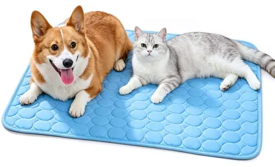 Obrázok produktu pre Solidchoice – Chladiaca podložka pre psov a mačky – 50 x 40 cm