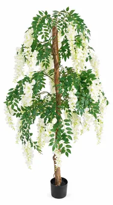 Produktbild von Künstliche Glyzinie im Blumentopf, Höhe 150 cm