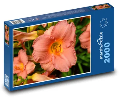 Zdjęcie produktu dla martinpuzzle - Puzzle 2000 - Denivka - kwiat