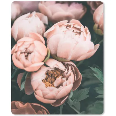 Produktbild von MuchoWow® Mauspad Mousepad Blumen - Rosa - Natur - Pflanzen 19x23 cm - Mousepads - Maus Mat - Pad - Mausunterlage - Mauspads - Spielen