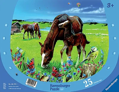 Produktbild von Ravensburger Puzzle - Rahmenpuzzle - 25 Teile - Pferde