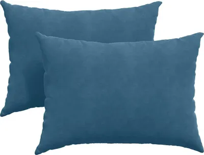 Immagine prodotto di vidaXL Cuscino per divano 2 pezzi blu 70 x 50 cm in tessuto a coste