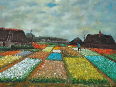 Obrázok produktu pre Vincent Van Gogh Art Print Obraz - Tulipánové polia, 1883 (60 x 80 cm)