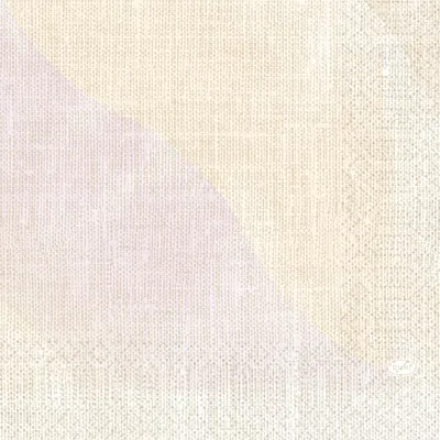Image de Serviettes en papier tissu Duni 3 plis 33 x 33cm Serenity 50 pièces