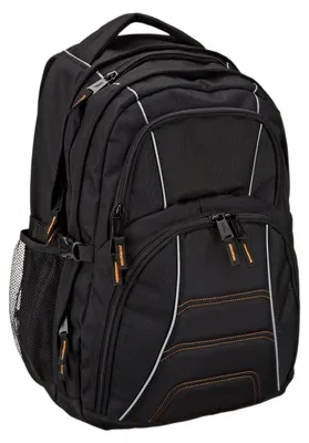 Produktbild von AmazonBasics NC1306167R1, Rucksackhülle, 43,2 cm (17"), 898 g