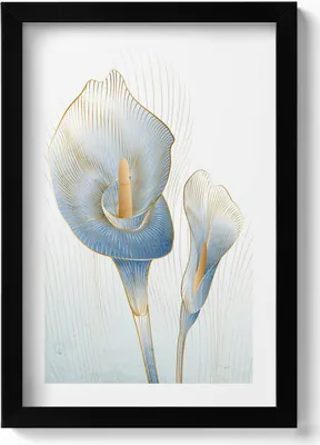 Produktbild von Illustration von Blumen mit Gold– Wandbild mit Rahmen – Gerahmtes Bild  – Wanddekoration – 20x30 cm – Schwarz