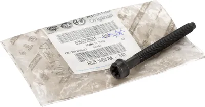 Produktbild von Schraube für verschiednee Anwendungen 55225501