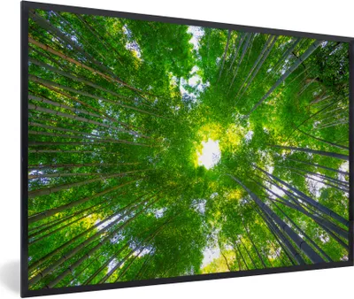Produktbild von MuchoWow® Gerahmtes Poster Baumkronen im Arashiyama-Bambuswald 90x60 cm - Poster mit Schwarzem Bilderrahmen Wandposter Rahmen Foto Bilder - Fotorahmen - Foto-Plakat