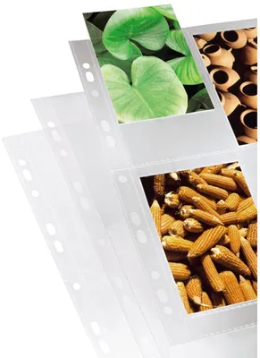 Image de Poch.trans.a4 P.photo 10X15Cm
