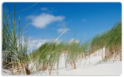Produktbild von Wallario Frühstücksbrettchen aus Glas, je 14 x 23 cm, mit rutschfesten Füßen, Motiv Düne am Strand unter blauem Himmel