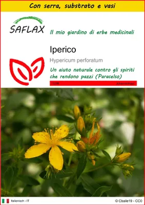 Immagine prodotto di SAFLAX Insieme di coltivazione - Iperico - 300 semi - Hypericum