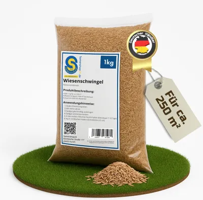 Produktbild von Bestellartikel Wiesenschwingel festuca pratensis | 1kg für 250 m² | mehrjähriges und ausdauerndes Gras