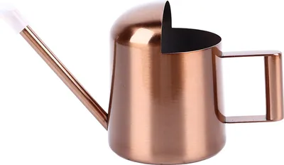 Immagine prodotto di Annaffiatoio, 300 ml, acciaio inox, beccuccio lungo, semiaperto, verniciato a polvere per giardino, famiglia, esterno