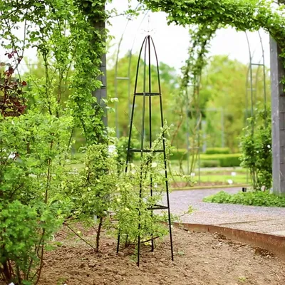 Produktbild von Gartenspalier Metall mit Spitze