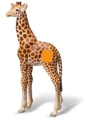 Produktbild von Ravensburger Giraffenjunges, 4 Jahr(e), tiptoi: Africa, Mehrfarbig