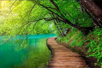 Obrázek produktu pro Muralo fototapeta příroda Chorvatsko 405 (Š) x 270 (V) cm netkané tapety tapety park lávka jezero les stromy obývací pokoj ložnice moderní nástěnné obrazy XXL krajina panorama nástěnné dekorace