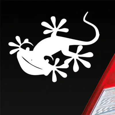 Produktbild von Auto Aufkleber Salamander Gecko Echse Agame Süß Tuning 13x10 cm Weiss Glanz Sticker Heckscheibenaufkleber