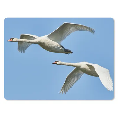 Produktbild von MuchoWow® Mauspad Mousepad Schwan - Vogel - Himmel - Blau 23x19 cm - Mousepads - Maus Mat - Pad - Mausunterlage - Schreibtischunterlage - Mauspad
