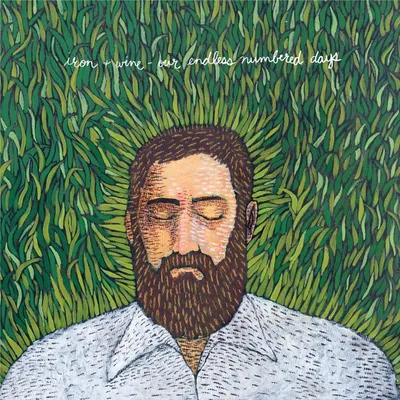 Zdjęcie produktu dla Iron and Wine - Our Endless Numbered Days (Deluxe Edition) (2 LP)