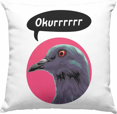 Produktbild von Trendation - Tauben Geschenkidee Deko-Kissen mit Füllung 40x40 mit Spruch für Taubenbesitzer Geschenk Taubenzüchter (Grün)