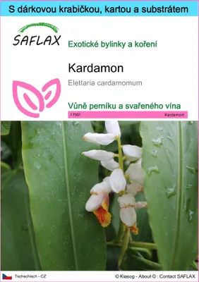 Obrázek produktu pro SAFLAX Dárková sada - kardamon - Elettaria cardamomum - 20 Semena - S dárkovou krabičkou, přepravním štítkem, dárkovou kartou a pěstebním médiem