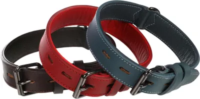 Produktbild von Hundehalsband, modisch, breit, rot, Größe S/M, 34-44 cm